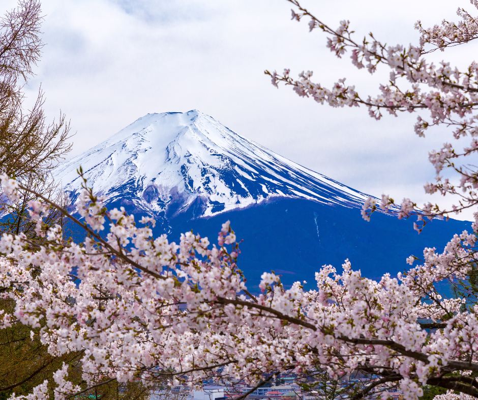 Desde então, a lenda do Sakura tem sido contada de geração em geração no Japão, inspirando um profundo apreço pela natureza e pela passagem do tempo.