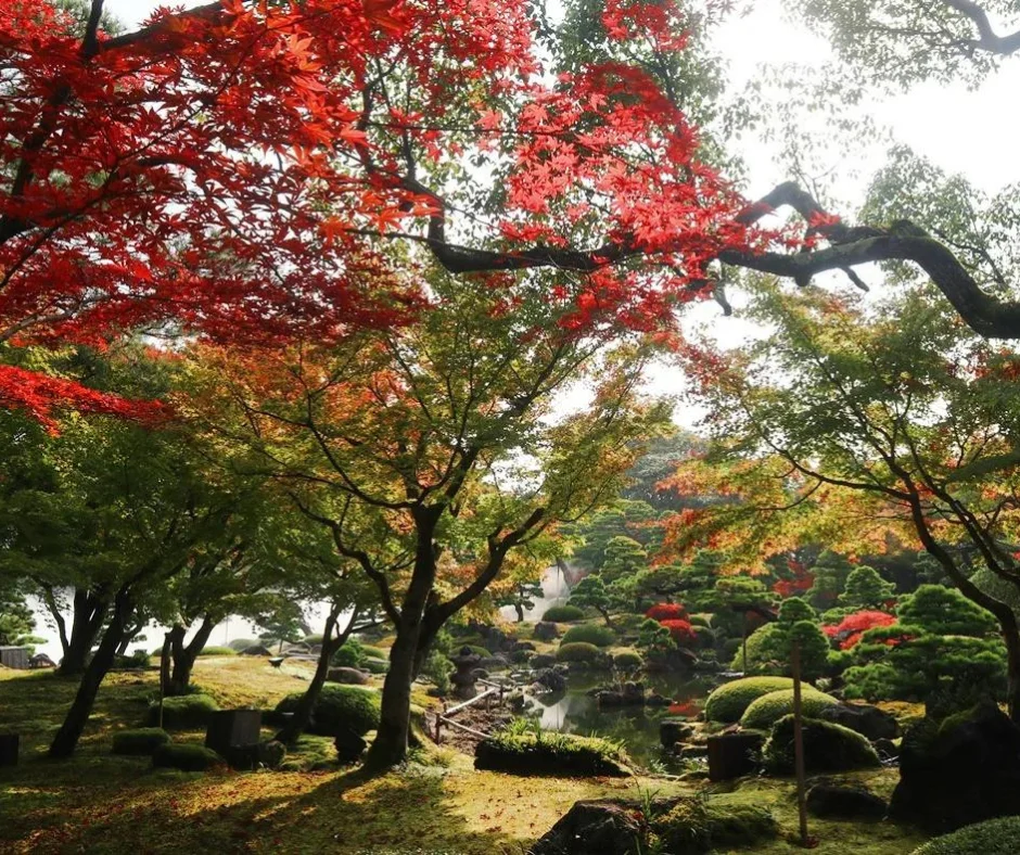 O outono no Yuushien Garden oferece uma paleta de cores que varia do amarelo dourado ao vermelho intenso. As folhas das árvores mudam de cor, criando um cenário deslumbrante que reflete a beleza fugaz da estação. Os caminhos do jardim ficam cobertos com um tapete de folhas secas, que estalam sob os pés a cada passo.