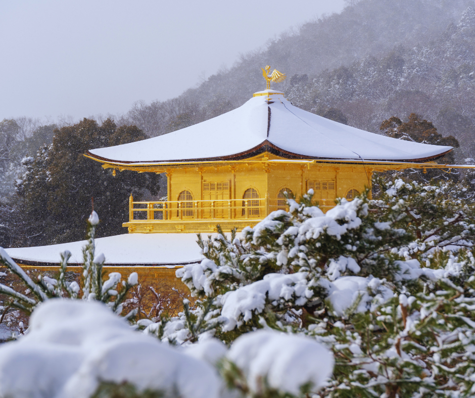Para aqueles que planejam visitar o Kinkaku-ji, é importante saber que o templo está aberto ao público durante todo o ano. No entanto, as estações do ano proporcionam diferentes paisagens e experiências. Na primavera, as cerejeiras em flor adicionam um toque de cor ao cenário dourado. No outono, as folhas vermelhas e douradas complementam a arquitetura do pavilhão. No inverno, a neve branca cobre o telhado dourado, criando uma cena verdadeiramente mágica.