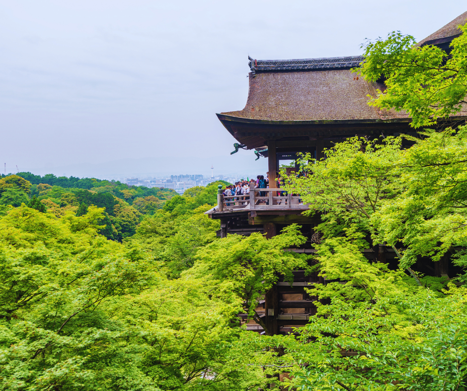 O Templo Kiyomizu-dera é cercado por uma paisagem natural exuberante que muda de acordo com as estações. Na primavera, as cerejeiras florescem, criando um cenário de sonho com pétalas rosa contrastando com a madeira escura do templo.