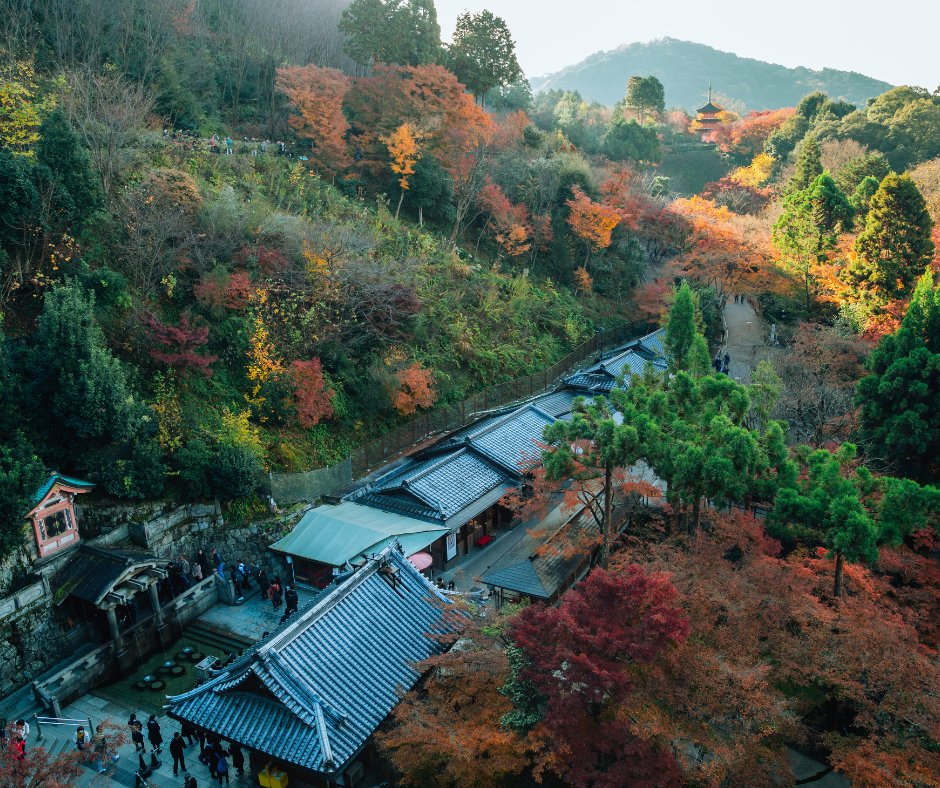 Visitar o Templo Kiyomizu-dera é uma experiência que vai além da apreciação estética. O templo oferece uma imersão na espiritualidade e na cultura japonesa. Os visitantes podem beber das águas sagradas da cascata Otowa, que são divididas em três fluxos