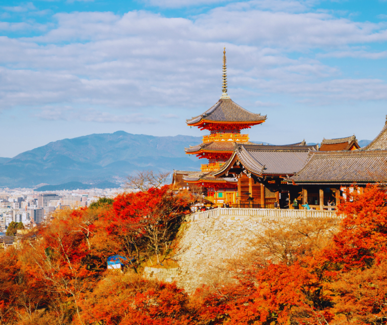 Mesmo com a modernização, Kyoto mantém seu compromisso com a preservação de sua herança cultural. A cidade possui 17 locais considerados Patrimônio Mundial da UNESCO, incluindo o Castelo de Nijo, o Templo Kiyomizu-dera e o Santuário Fushimi Inari Taisha, famoso por seus milhares de portões torii vermelhos.