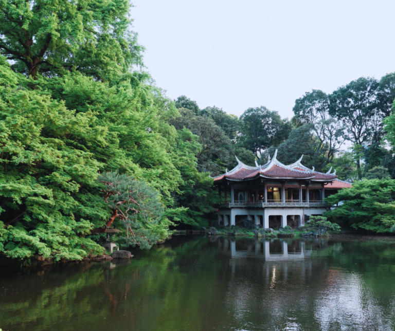 Já o Jardim Nacional Shinjuku Gyoen é um dos mais bonitos e bem cuidados, ideal para um passeio relaxante em qualquer estação do ano.