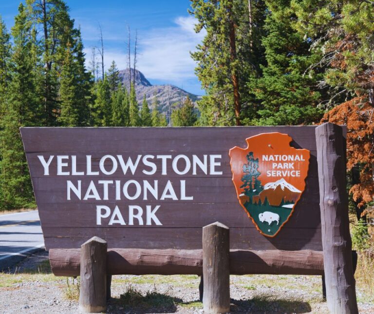 Além das cidades, o país conta com belezas naturais impressionantes, como o Grand Canyon, o Parque Nacional de Yellowstone e as praias do Havaí. Cada região dos EUA possui características próprias que encantam turistas do mundo inteiro.